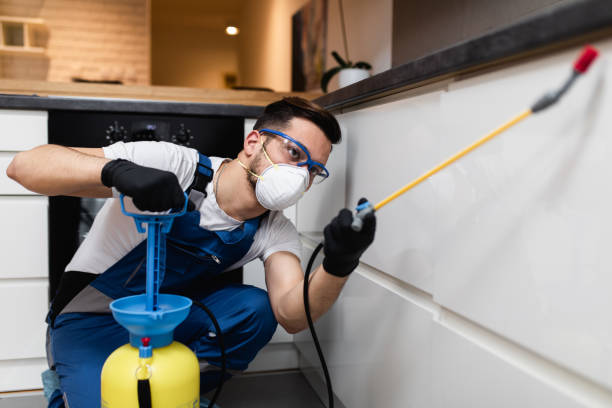 Best Best Pest Control Companies  in Choctaw, OK
