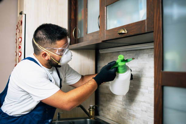 Best Local Pest Control Services  in Choctaw, OK