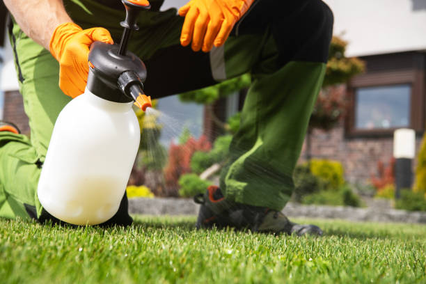 Best Exterminator Services  in Choctaw, OK
