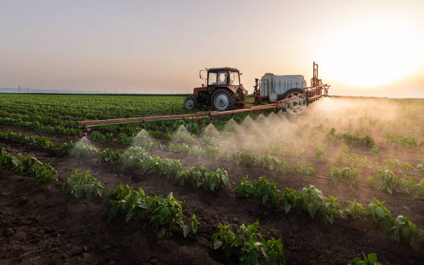 Best Best Pest Control Companies  in Choctaw, OK