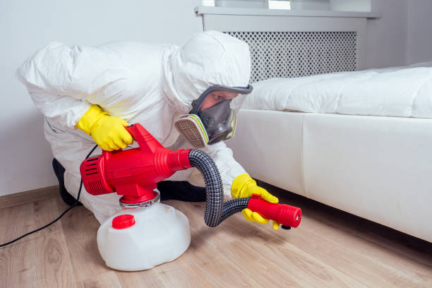 Wasp Removal Services in Choctaw, OK