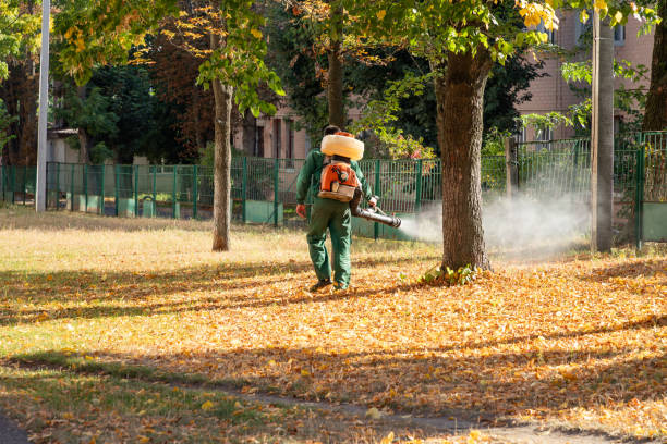 Best Mosquito Control Services  in Choctaw, OK