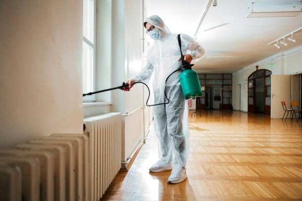 Best Flea Control Services  in Choctaw, OK